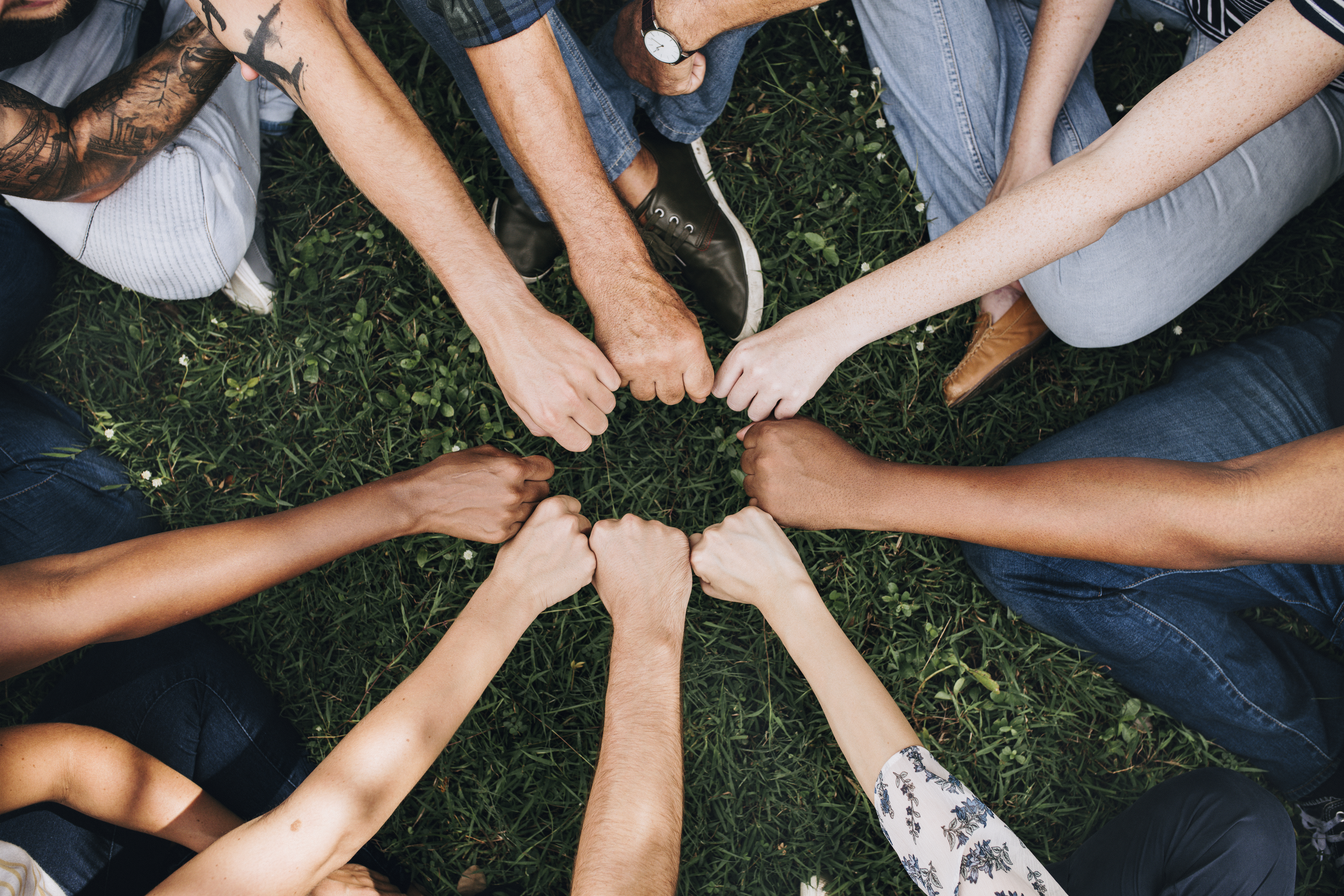 MoodEaser partnership team